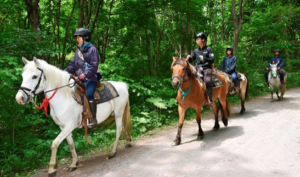 buscan a niño en japon