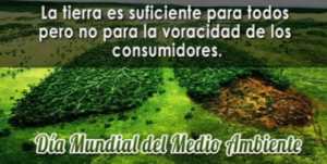 dia del medio ambiente