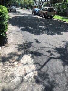 xochitl galvez miguel hidalgo 2