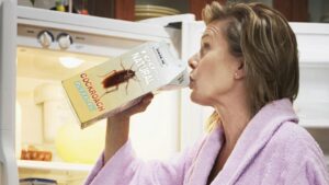 leche-cucaracha_plyima20160725_0031_1