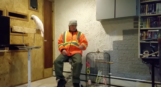 guacamaya y dueño pelean