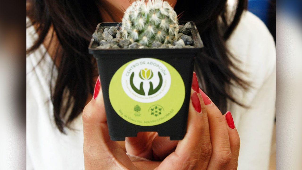 unam plantas en extincion