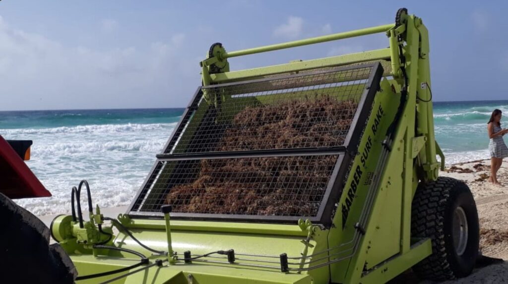 Usos sargazo Daniel Madariaga