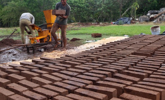 Ladrillo-sargazo-daniel