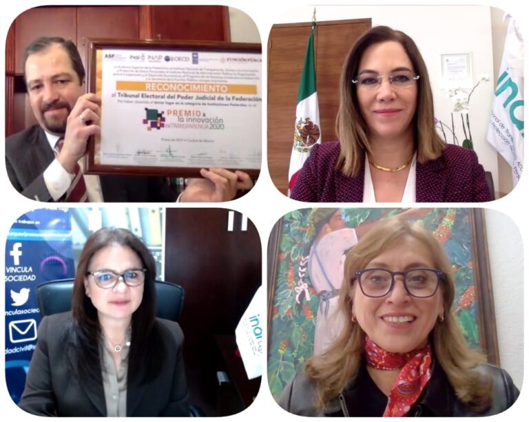 TEPJF jose Luis Vargas Valdez