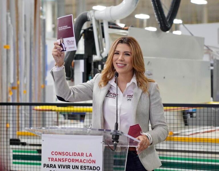 El impulso a las micro, pequeñas y medianas empresas será uno de los pilares de gobierno de Marina del Pilar.