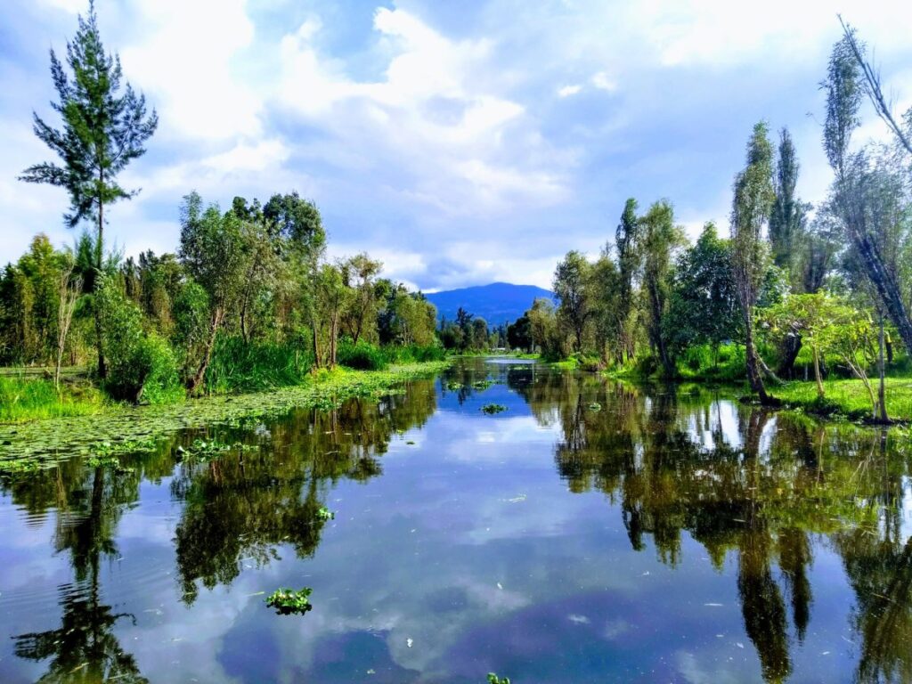 Editan libro sobre pueblos originarios de Ciudad de México