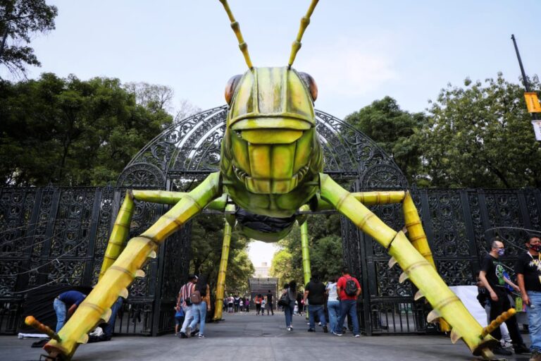 festival animalistica