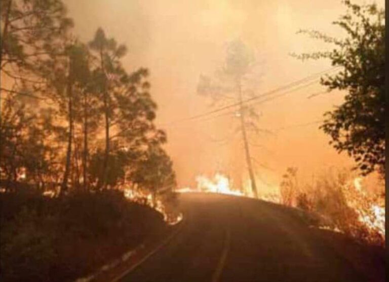 Muere joven brigadista durante incendio forestal en Jalisco