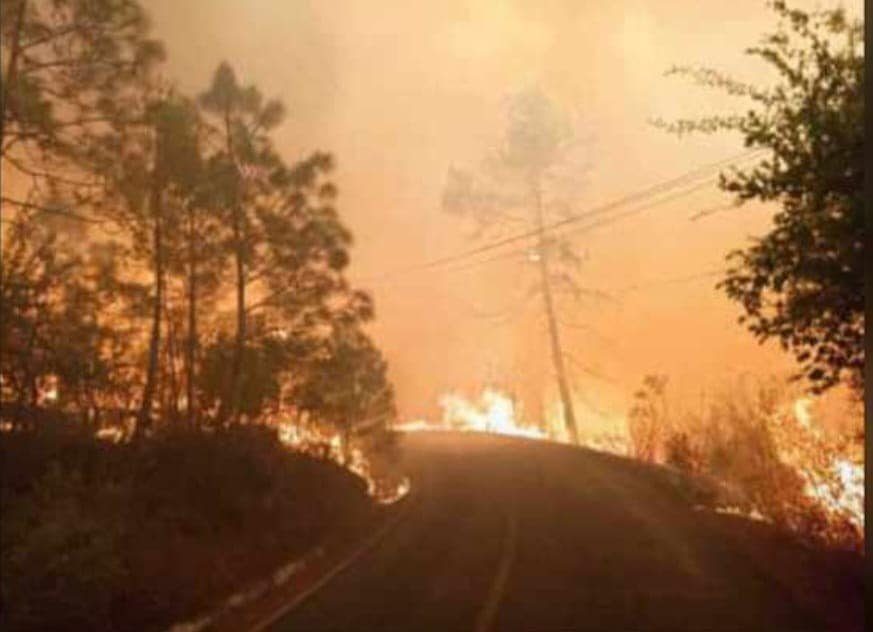 Muere joven brigadista durante incendio forestal en Jalisco
