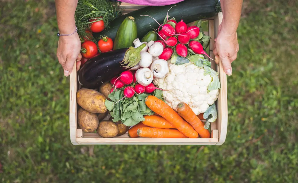 Daniel Madariaga Barrilado: Hacia una industria más sostenible