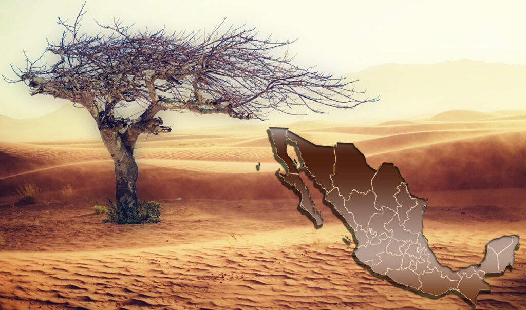 Cambio climático afectará a 20 entidades en México: S&P