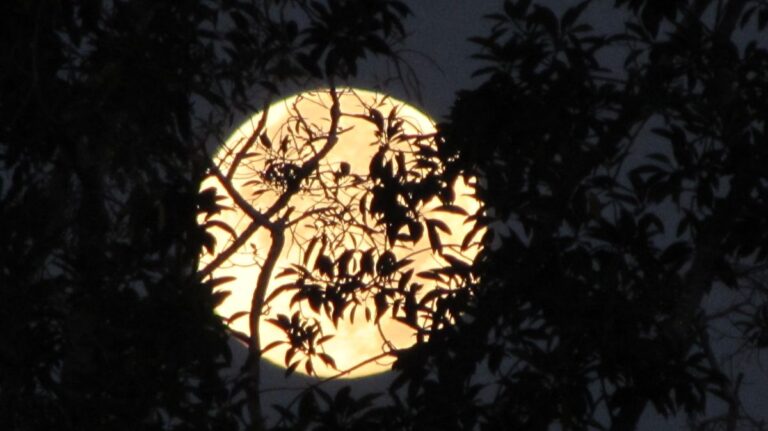 ¿En dónde se podrá ver el eclipse lunar penumbral?