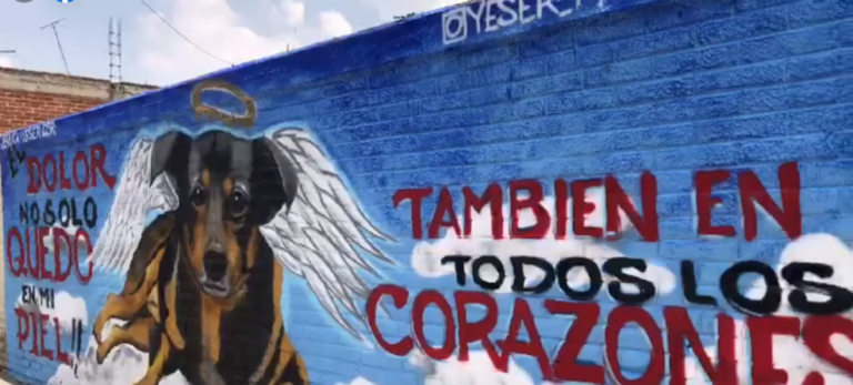 Artista rinde homenaje a Scooby