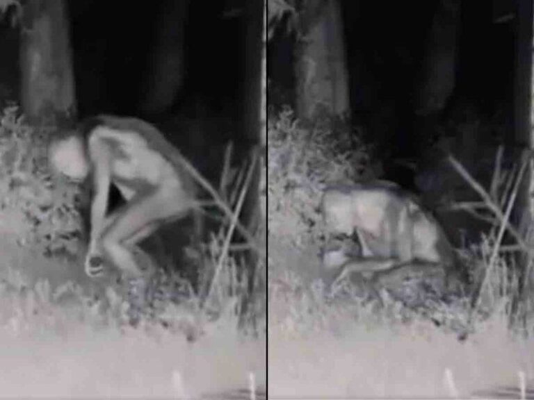 Cámara de seguridad capta supuestas imágenes de extraterrestres