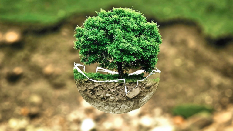 Grupo AJE: Guardián de los Bosques Tropicales en el mundo