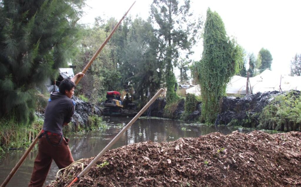 Canales de Xochimilco están en grave peligro