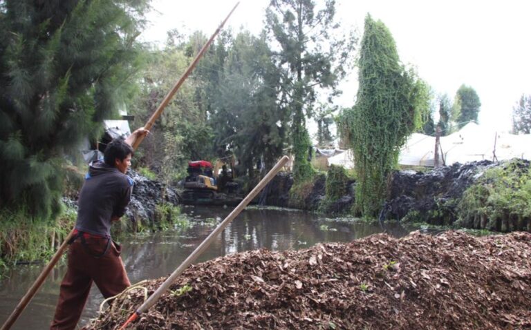 Canales de Xochimilco están en grave peligro