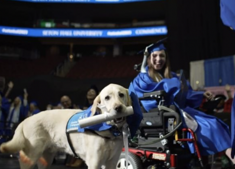 El perro guía graduado tiene por nombre Justin.