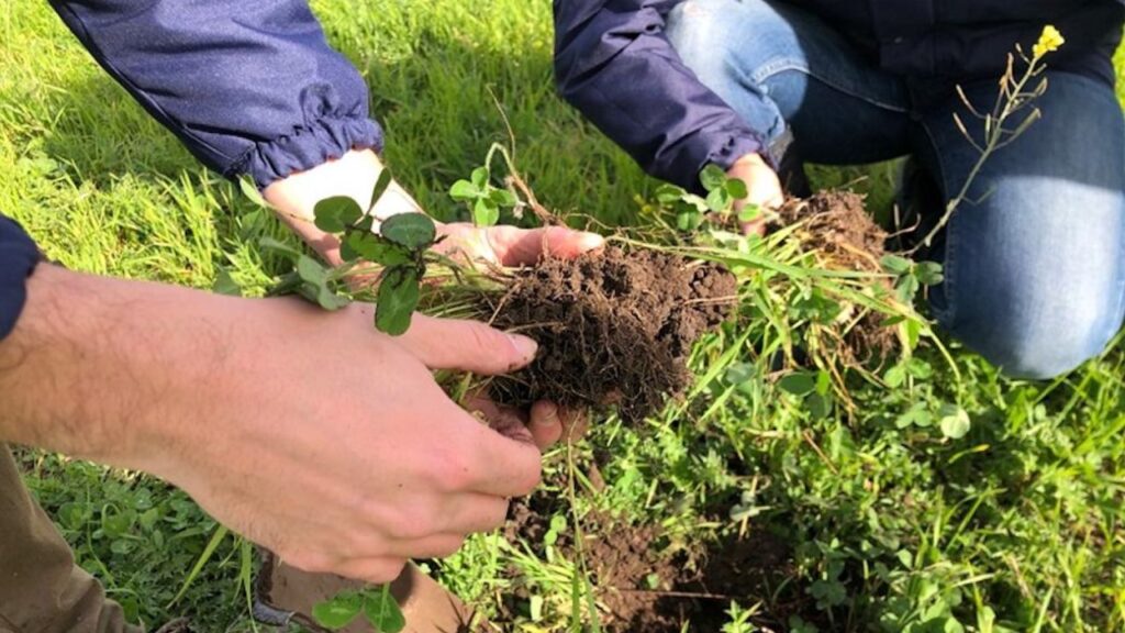 La Cosmopolitana: La agricultura regenerativa aborda los desafíos ambientales y nutricionales