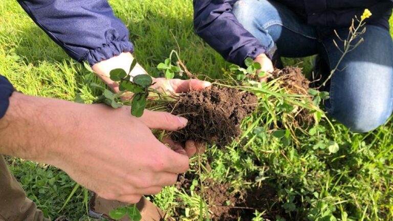 La Cosmopolitana: La agricultura regenerativa aborda los desafíos ambientales y nutricionales