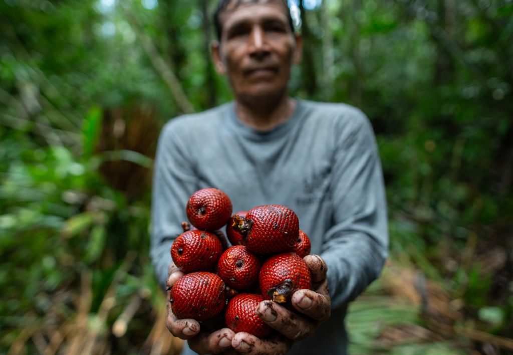 Grupo AJE: Valiosa oportunidad de concientizar a las personas sobre la relevancia de incorporar frutas en su dieta diaria