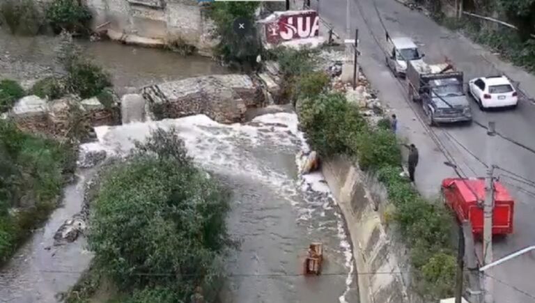 Bomberos rescatan a lomito atrapado por creciente de río