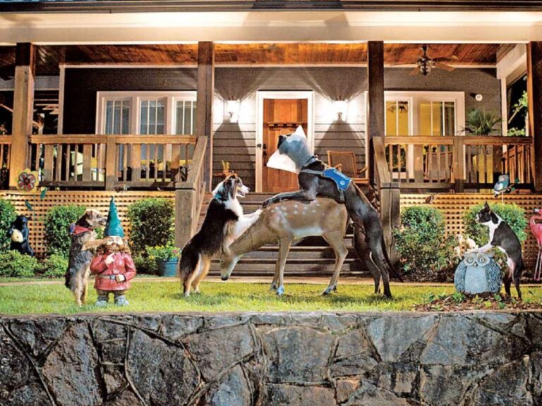 “Hijos de perra” se estrena desde hoy en la cartelera nacional