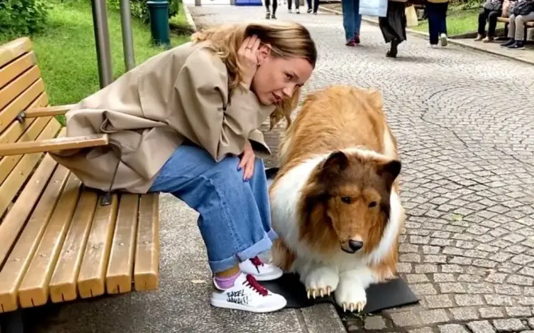 Un japonés cumple sueño de ser perro
