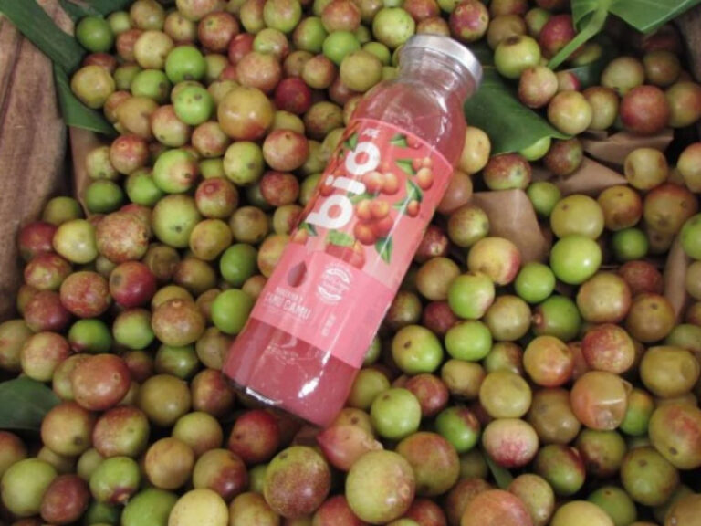 Grupo AJE: Los superfrutos amazónicos están tomando protagonismo en la alimentación saludable