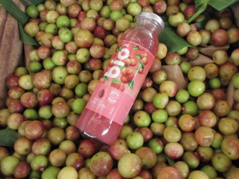 Grupo AJE: Los superfrutos amazónicos están tomando protagonismo en la alimentación saludable