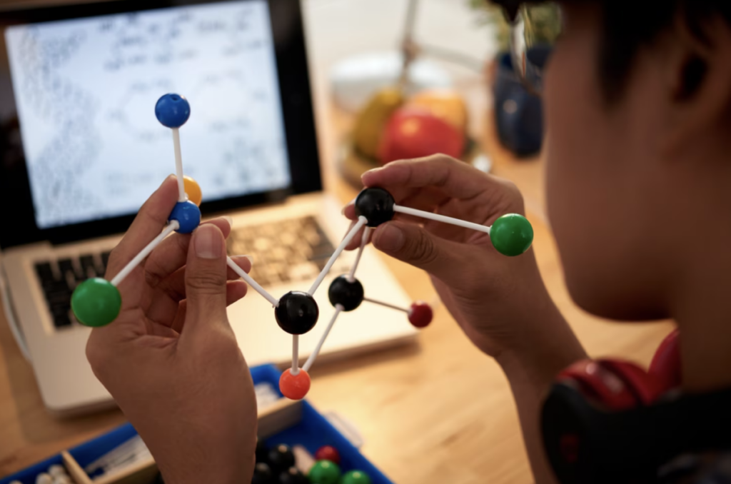 De acuerdo con algunas definiciones, el término STEM comenzó a utilizarse aproximadamente a principios del siglo XXI para referirse a carreras y currículos centrados en el ejercicio de las ciencias exactas.