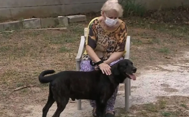 Asilo tiene un enfermero singular: es un perrito