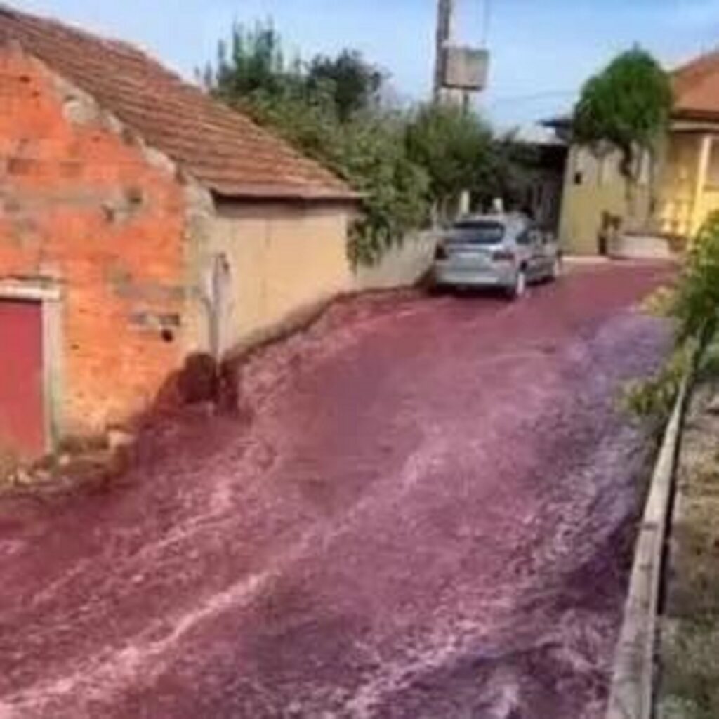 Millones de litros de vino tinto inundan calles de ciudad portuguesa