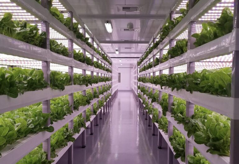 Daniel Madariaga Barrilado: Sostenibilidad hídrica es respaldada por la tecnología de iluminación LED, la cual permite tener un mayor control