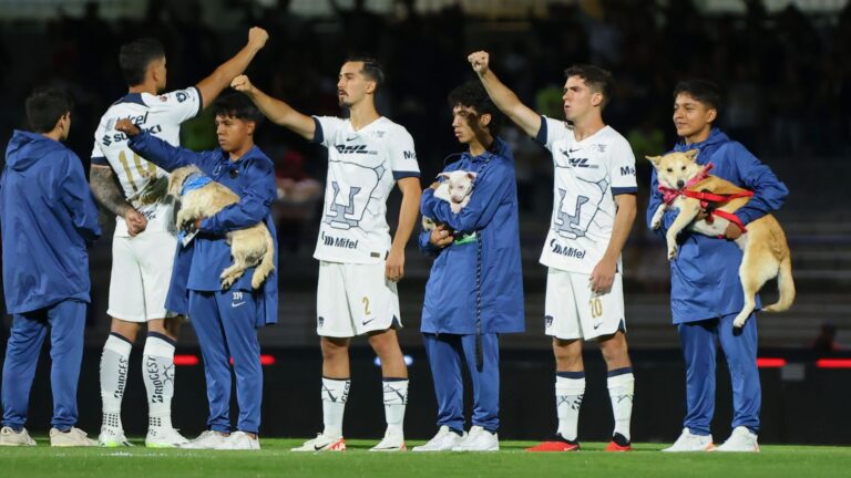 Perritos acompañan a Pumas a entonar el himno nacional