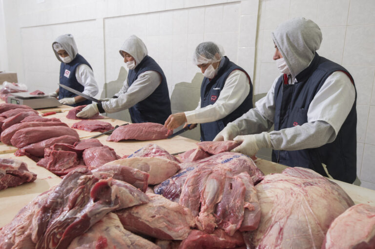 Corporativo Kosmos: ¿Qué son"las 5 M"?