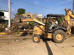 “Cultura Ecológica” integral. 