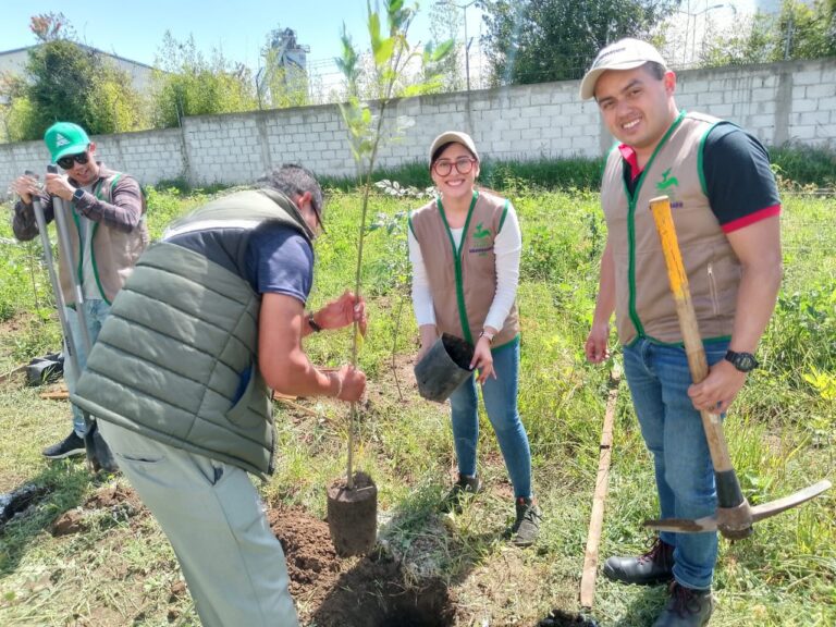 AJEMEX lideró la jornada de reforestación en Huejotzingo