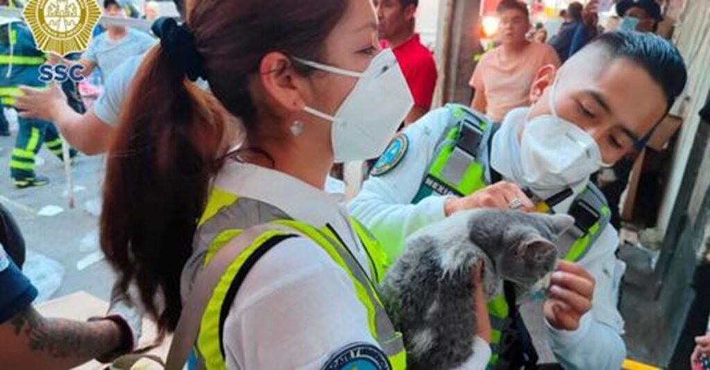 Personal del ERUM rescata a gatito de incendio en Tepito