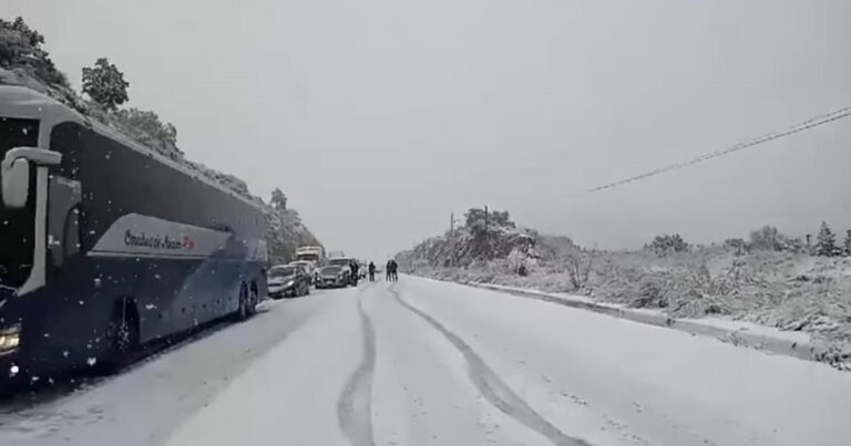 Varios estados del norte del país se visten de blanco