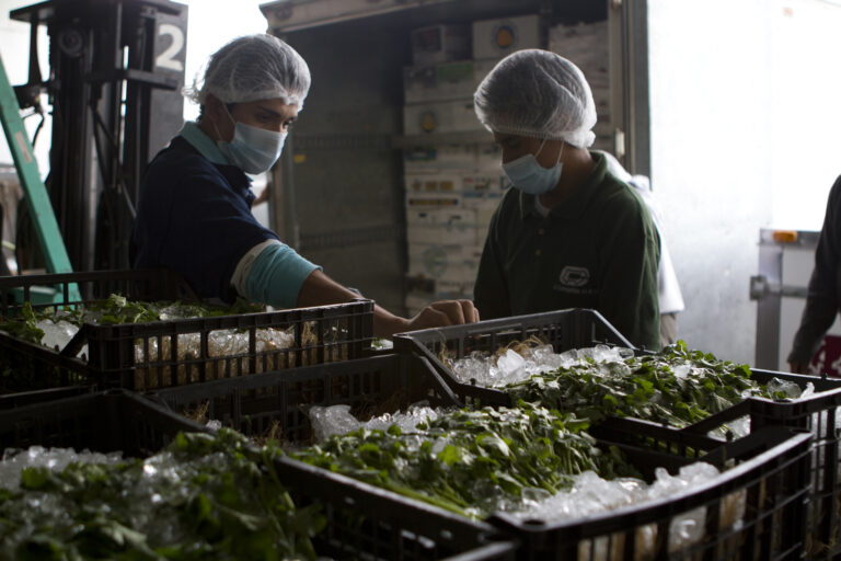 La Cosmopolitana ha reforzado su compromiso con la economía circular