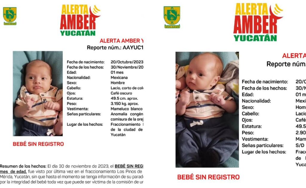 Gemelos recién nacidos siguen desaparecidos