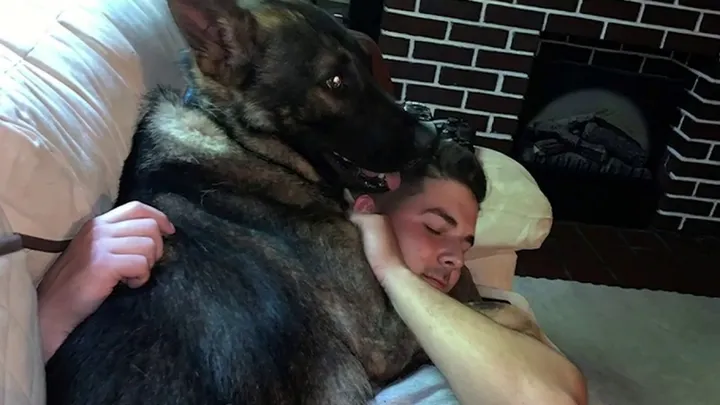 Perrito policía regresa con su entrenador Chad a casa