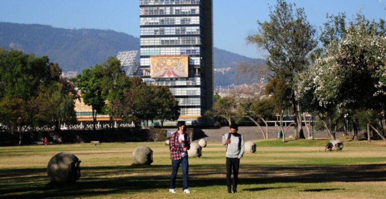 ¿Recuerdan la plaga de las chinches en la UNAM?