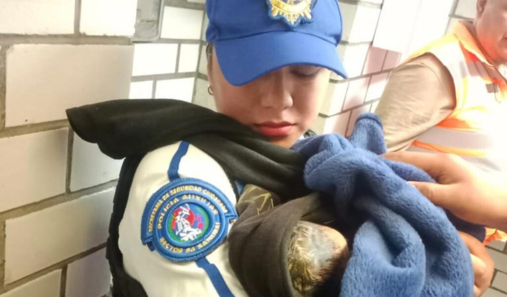 Este año, 4 mujeres tuvieron a sus bebés en el Metro