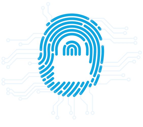 Seguritech: Más frecuentes los ciberataques a multinacionales