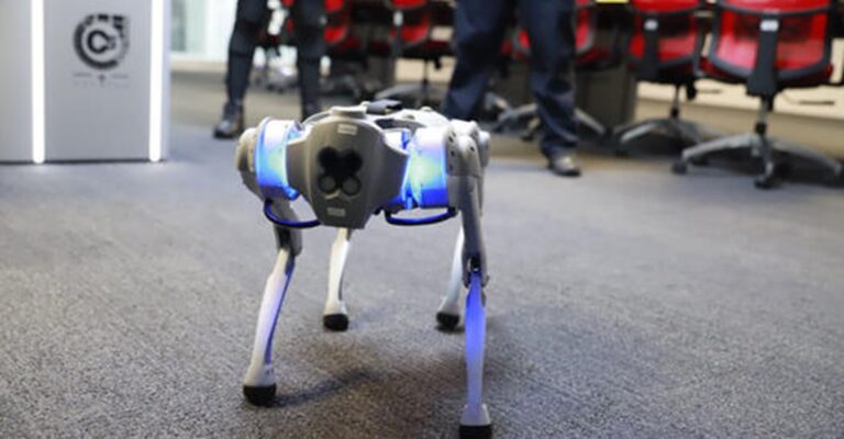 Utilizarán perro robot para buscar y rescatar a personas en Jalisco