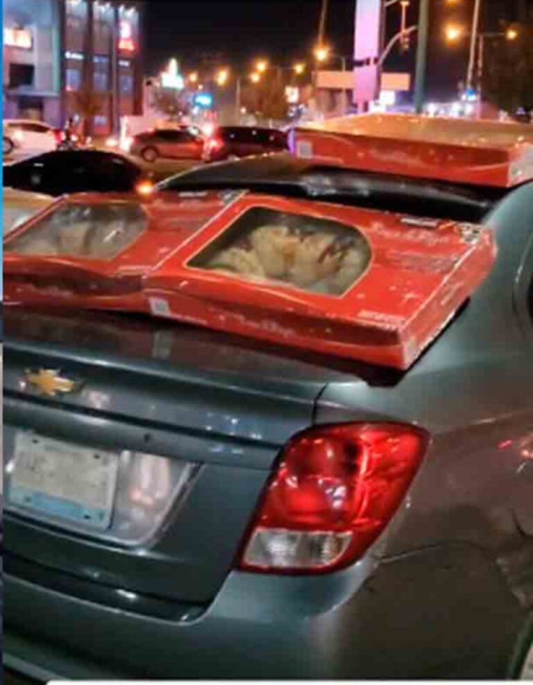 Revendedor de Cotsco defendió su negocio