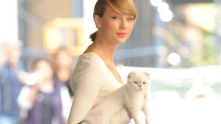 La mascota más rica del mundo es la gata de Taylor Swift